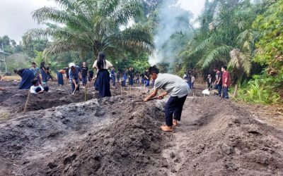 Dari Lahan Kosong Menjadi Ruang Belajar Hijau, SMPN 3 Gunung Timang Laksanakan Program Kokurikuler Kebun dan Taman Sekolah